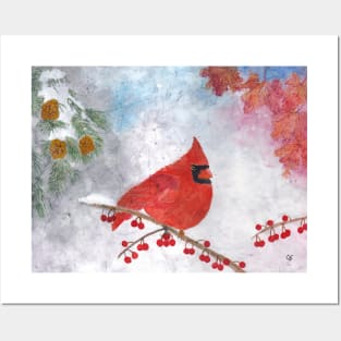 Winter Cardinal on snowy branch with red berries, pine branch, late autumn leaves Posters and Art